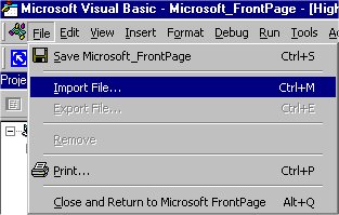 Import file into Visual Basic Editor
